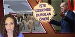 İşte sokak köpekleri için önerilen tüyo! Erdoğan'ın tepkisi...