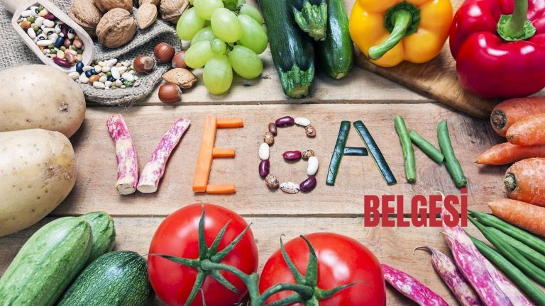 Vegan Belgesi Almanın Çevresel Faydaları