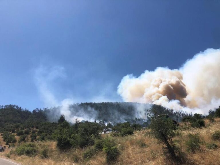 Balıkesir’de Orman Yangını: Kontrol Altına Alma Çabaları Sürüyor